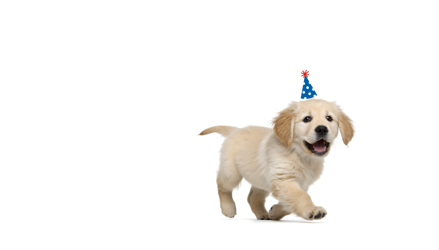 Puppy parties (3)