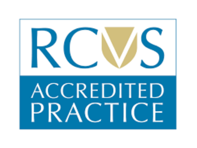 RCVS accreditation