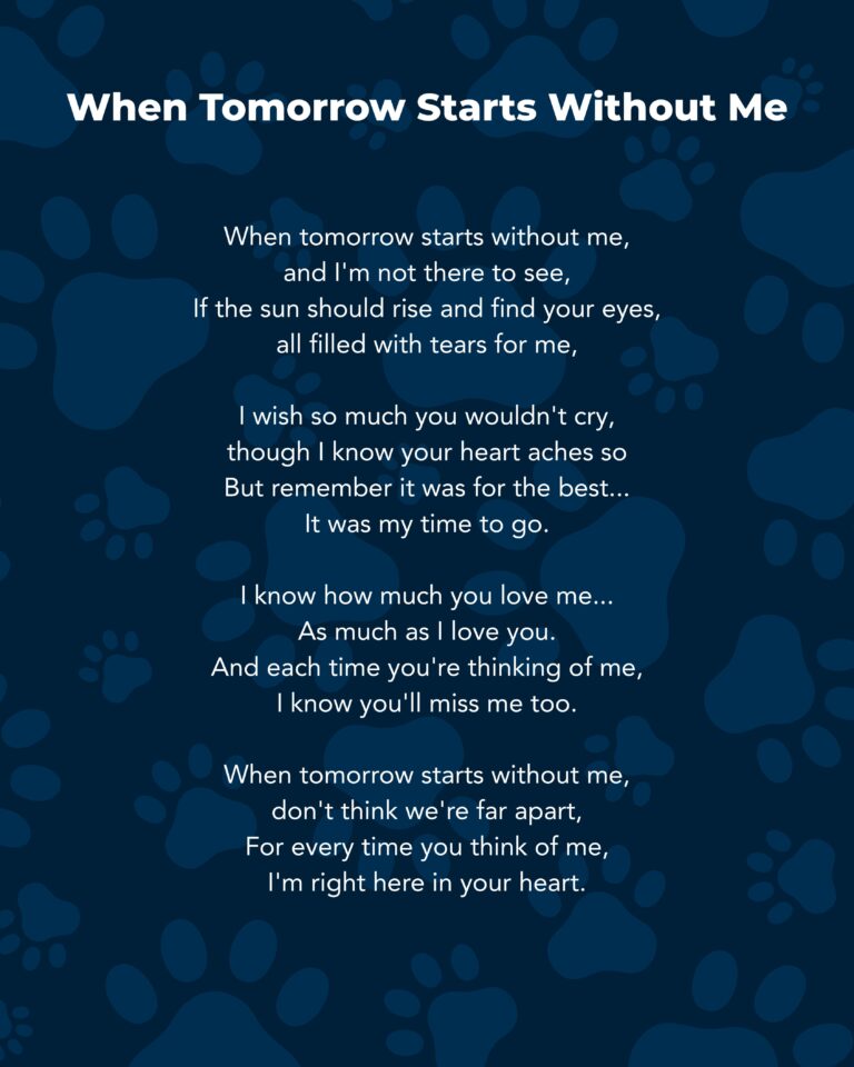Poems for reflection - pet loss