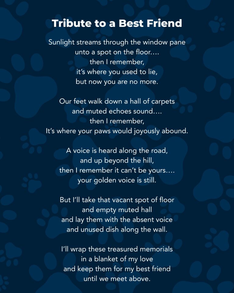 Poems for reflection - pet loss