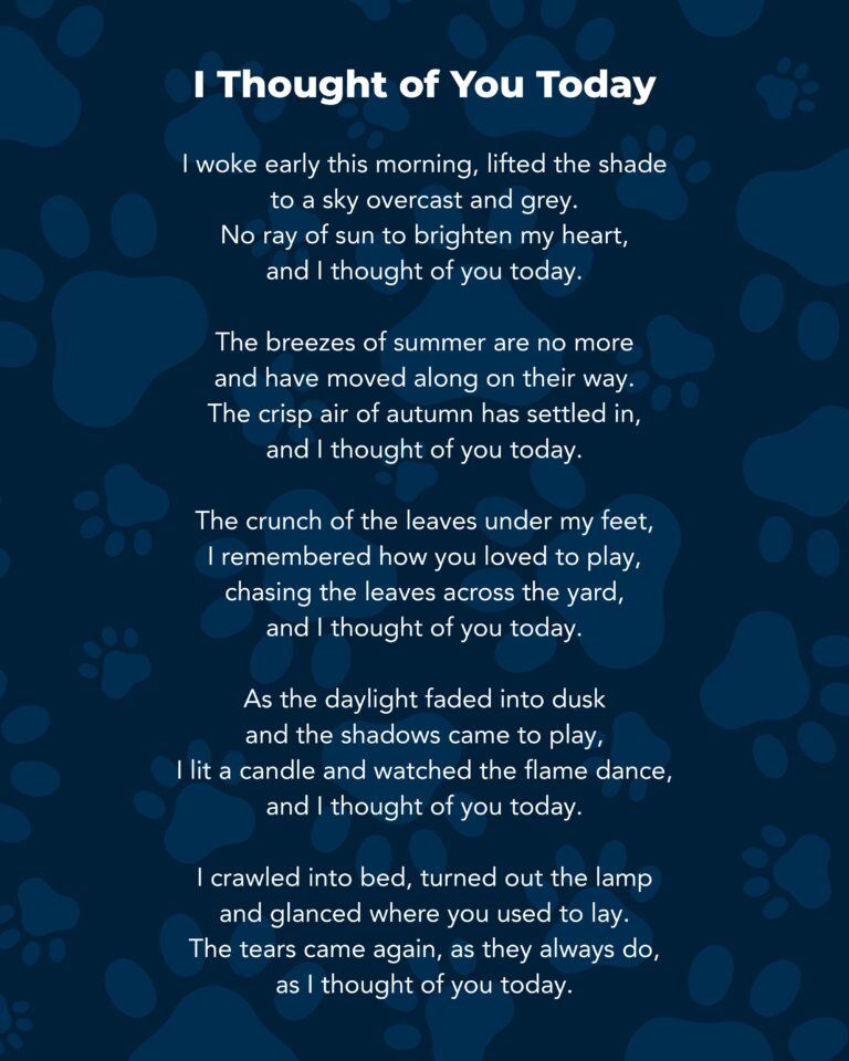 Poems for reflection - pet loss