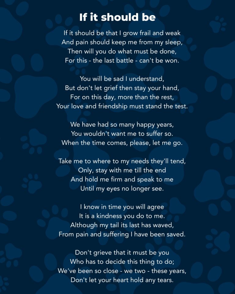 Poems for reflection - pet loss