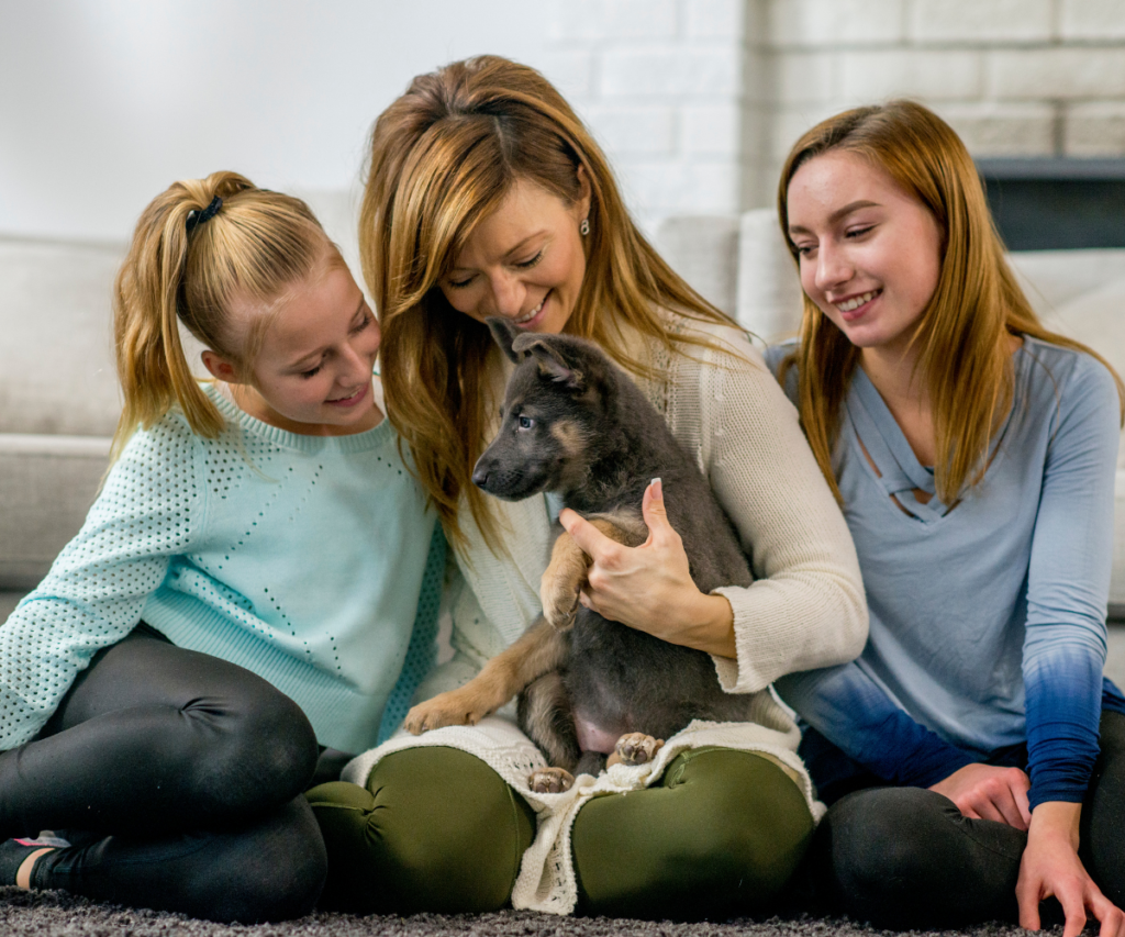 Puppy package